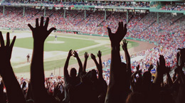 Fans at a baseball game