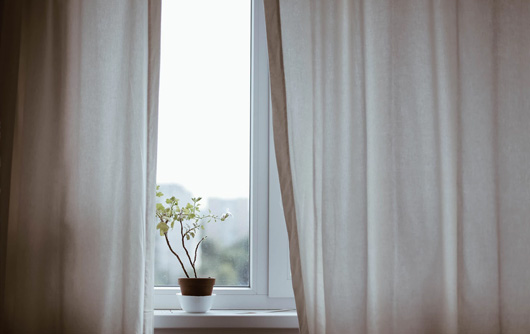 Hospital window with drapes half open and a flower on the sill