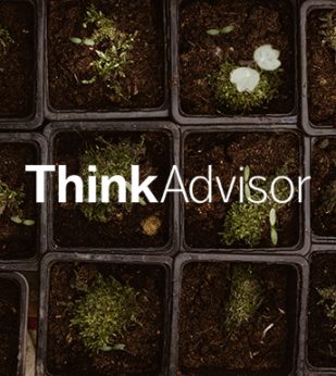 ThinkAdvisor logo over Mossy sprouts growing in small pots