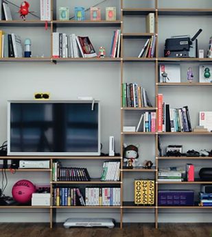 TV in shelving unit