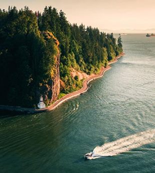 boat passing evergreen shoreline