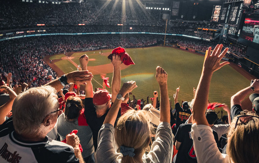 Cheering fans at a baseball game