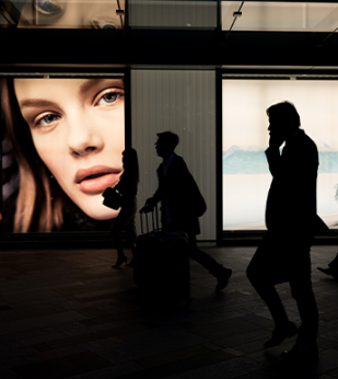 Brand Asset, Distinctive Brand Assets, Advertising Performance, Memory Cues